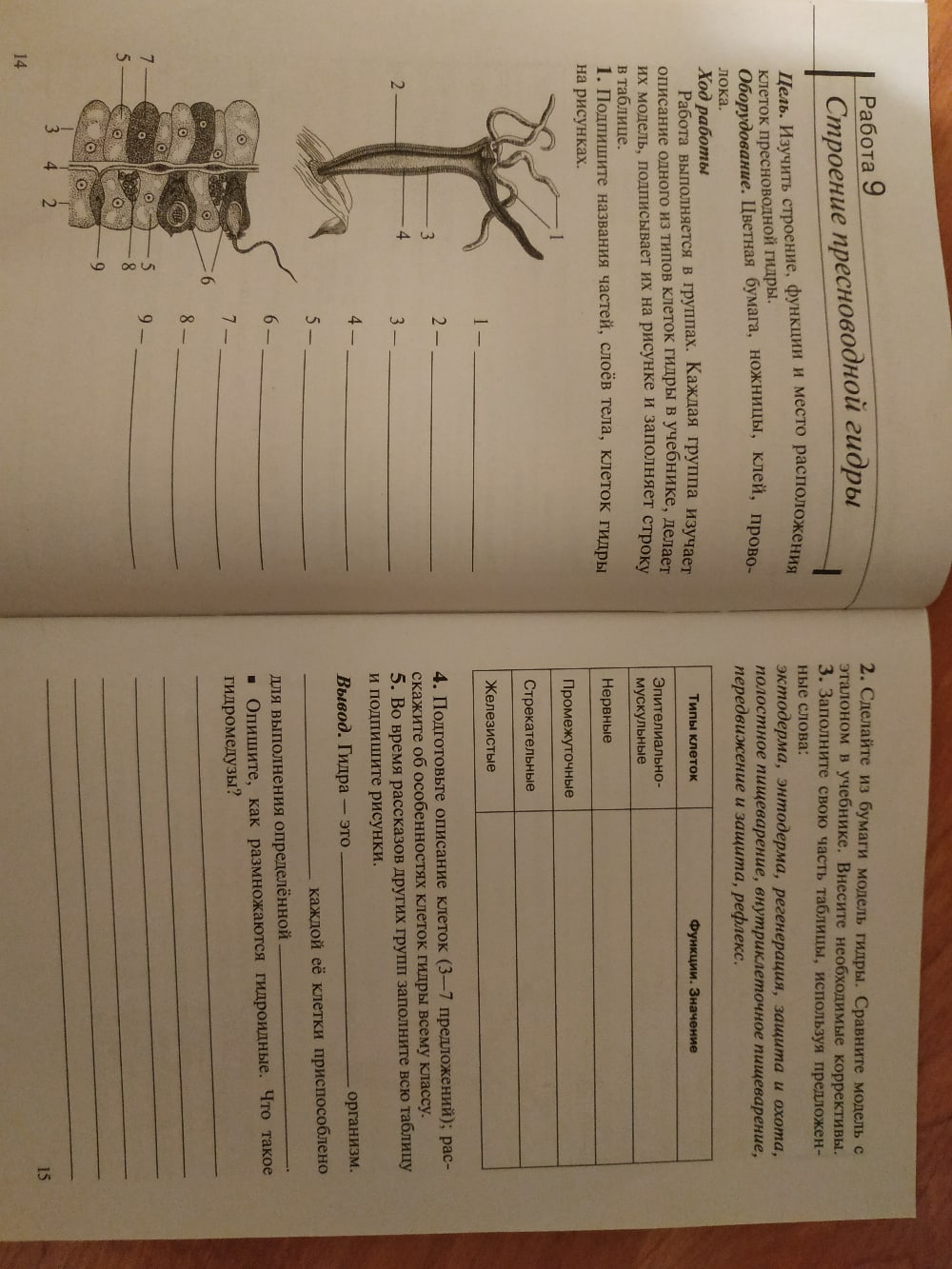 Что продают на кракене