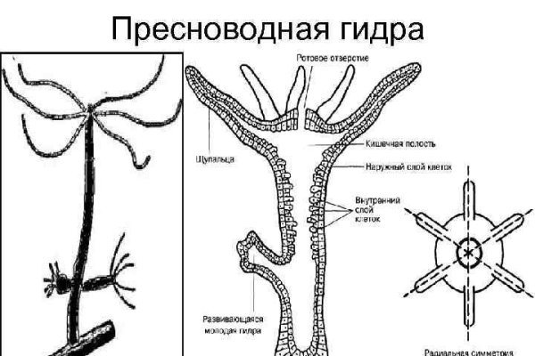 Ссылка на кракен оригинал