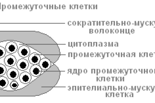 Как вернуть аккаунт кракен