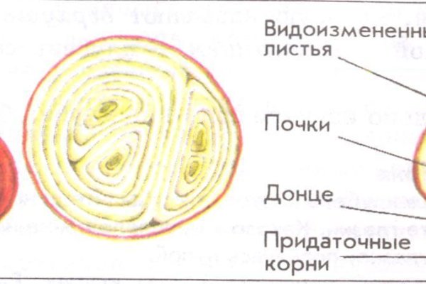 Kra45.cc