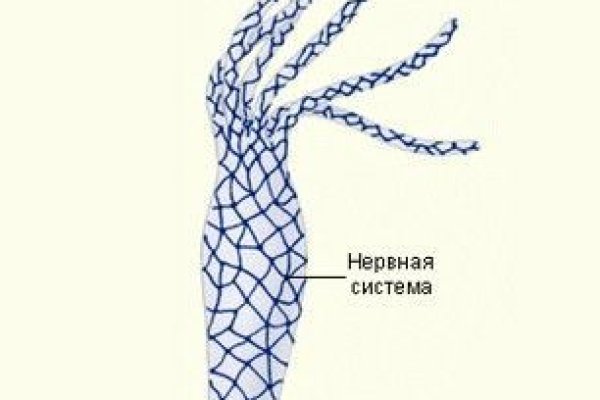 Kraken зеркало krakentor site