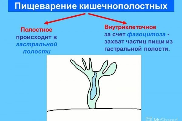 Как восстановить аккаунт в кракен