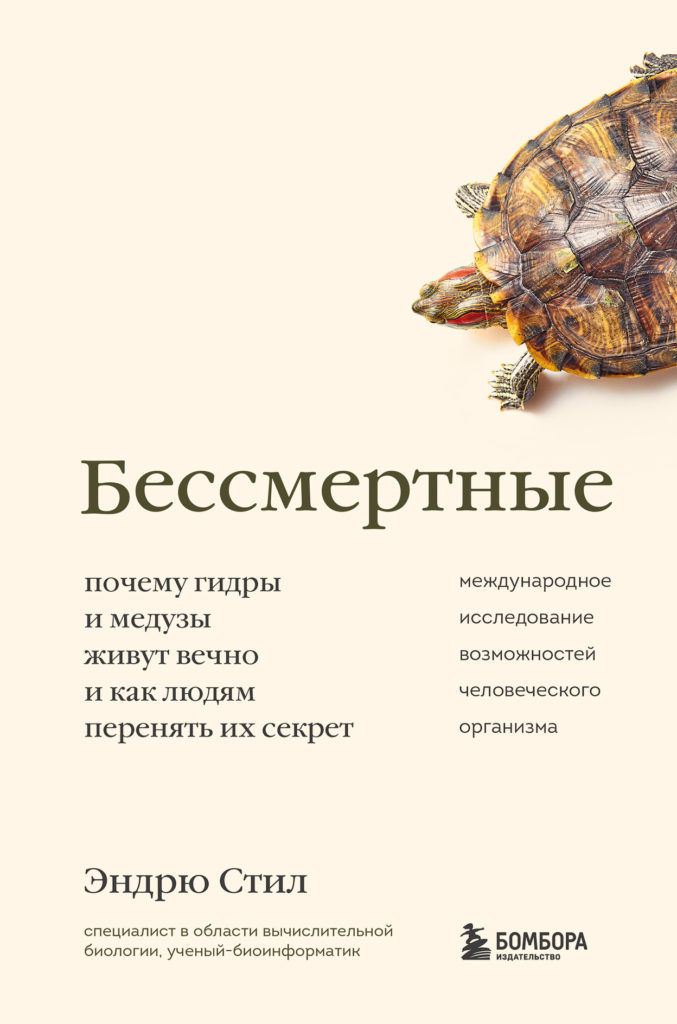 Кракен сайт пользователь не найден